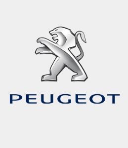 Peugeot Timing Tools