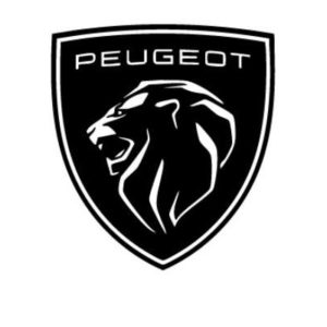 Peugeot Timing Tools