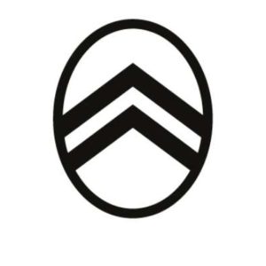 Citroen Timing Tools