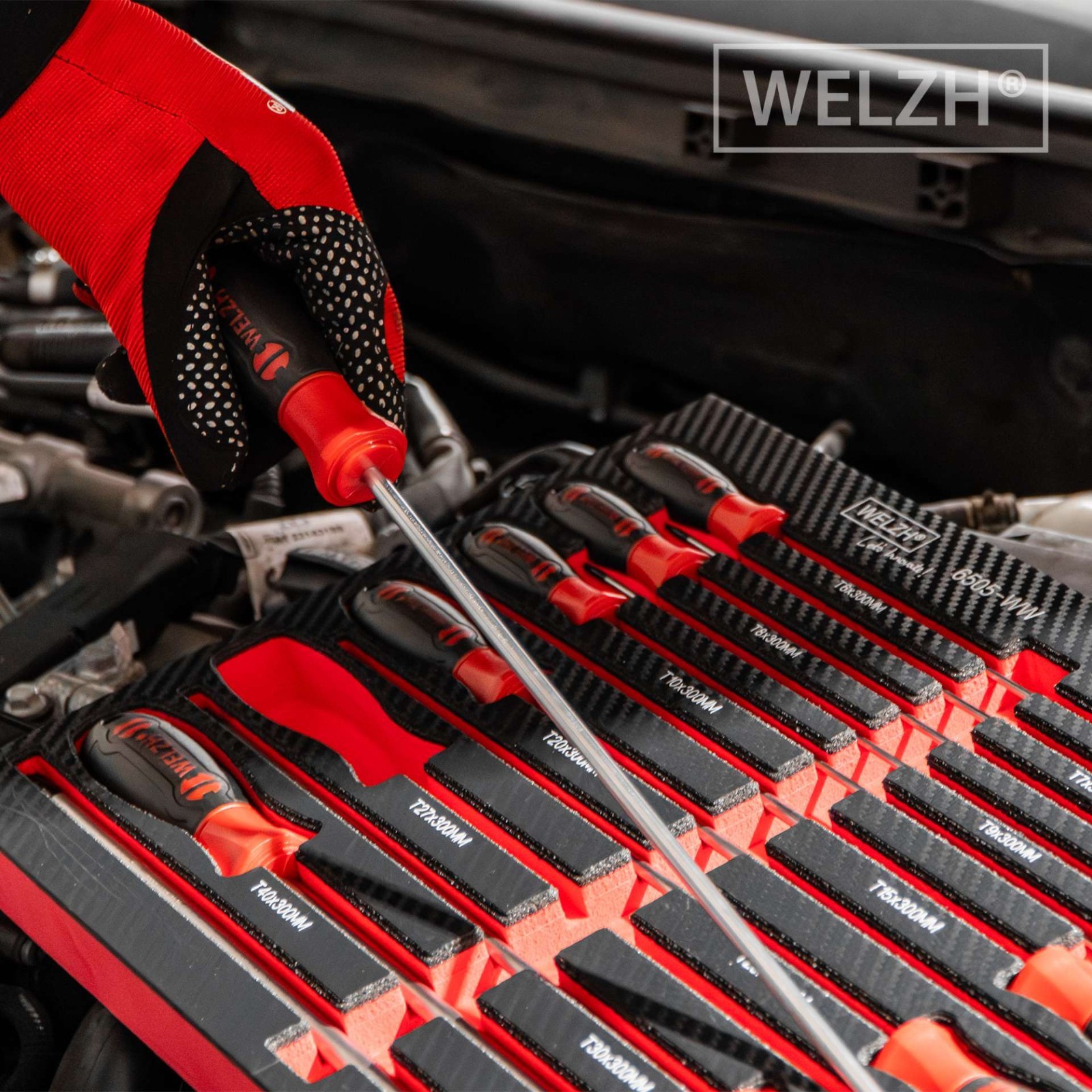 Torx Screwdriver Set Extra Long T Star 12-Piece T6-T45 S2 STEEL - Welzh Werkzeug Torx Screwdriver Set Extra Long T Star 12-Piece T6-T45 S2 STEEL - Welzh Werkzeug
